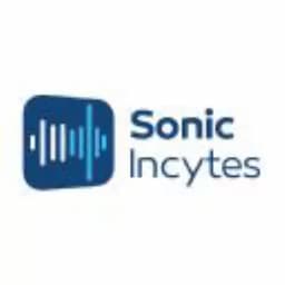 Sonic Incytes